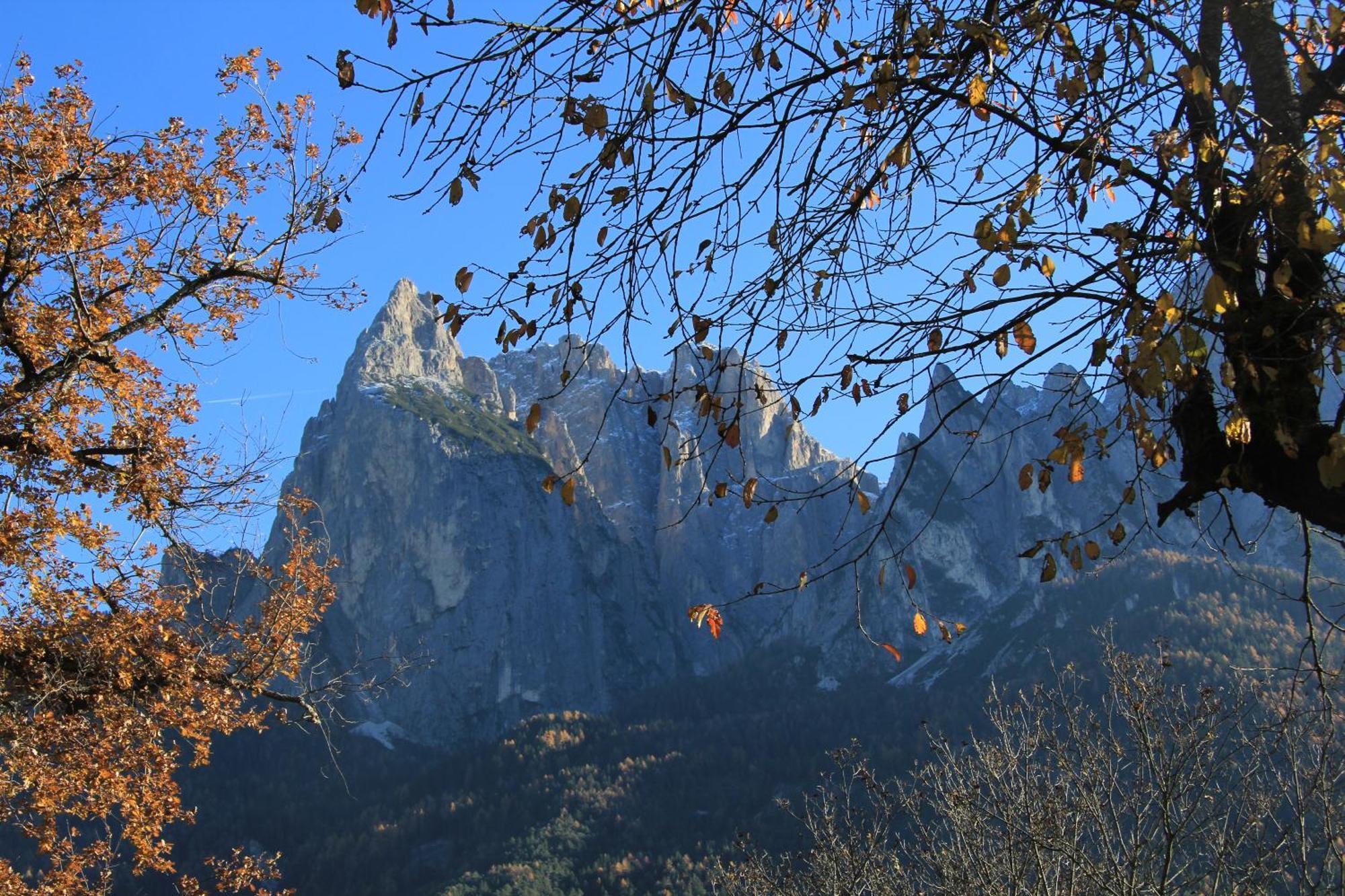 Вілла Feldererhof Сьюзі Екстер'єр фото