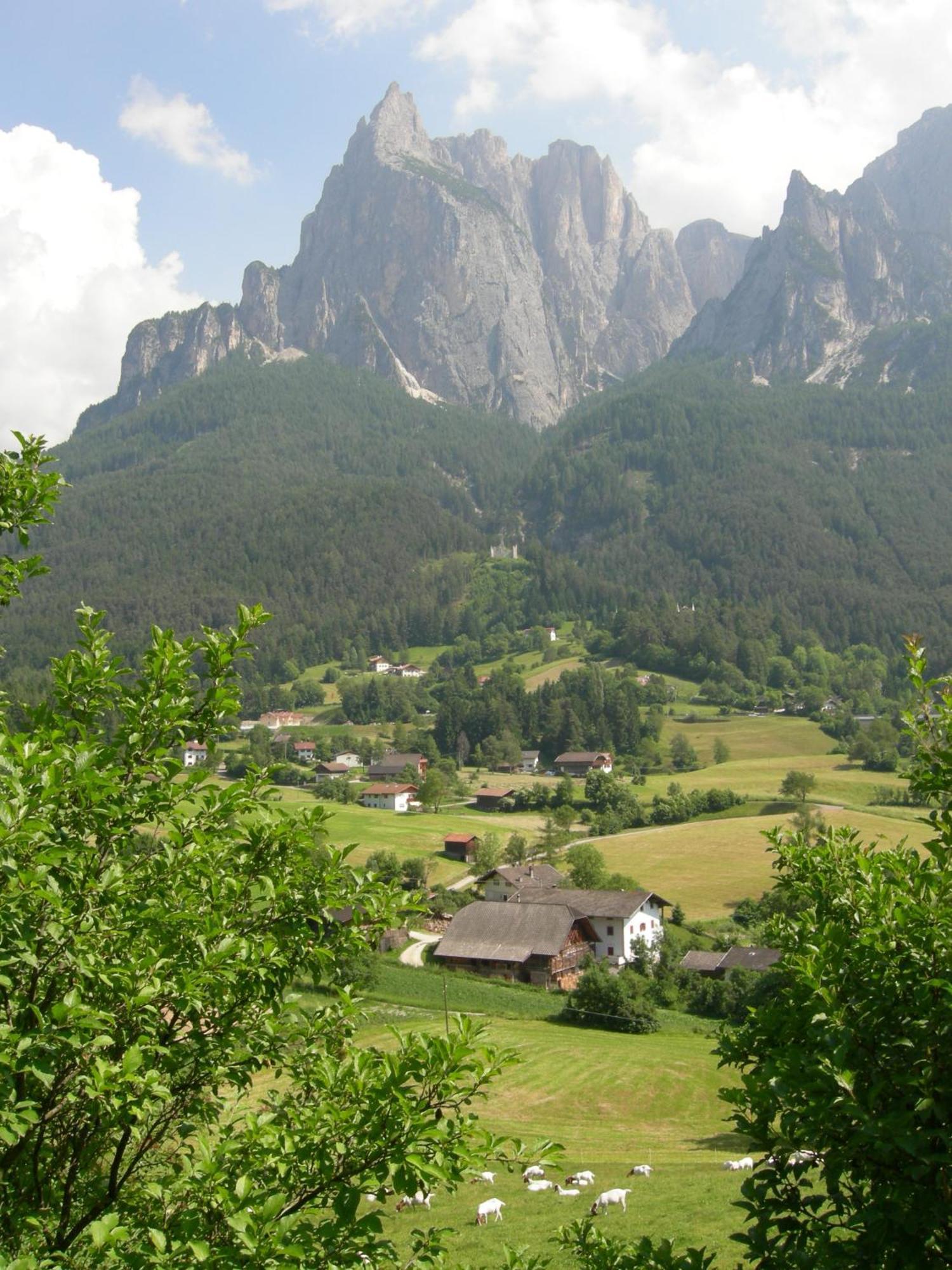 Вілла Feldererhof Сьюзі Екстер'єр фото